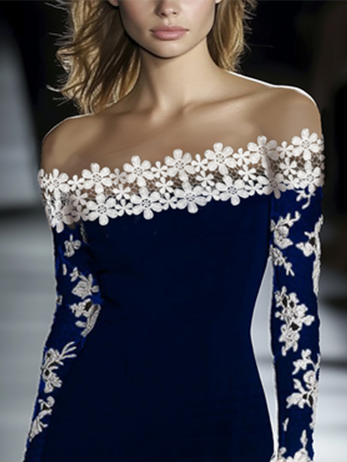 Lace Neckline Hip Dress