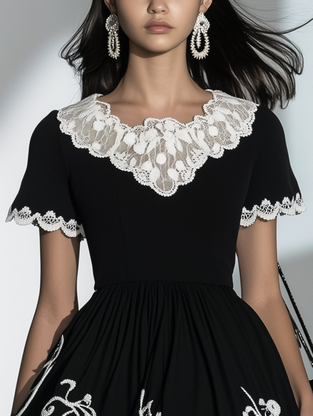 Black Embroidered A Line Lace Collar Crew Neck Short Sleeve Mini Dress